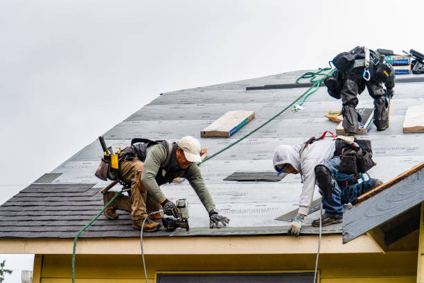 Professional Gutter Installation technician working in Lindale, GA